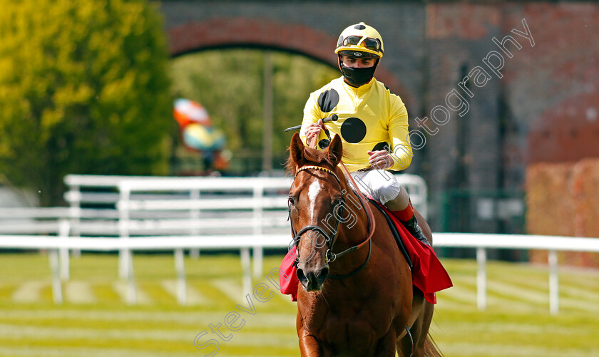 El-Drama-0009 
 EL DRAMA (Andrea Atzeni) after The tote+ Biggest Dividends At tote.co.uk Dee Stakes
Chester 6 May 2021 - Pic Steven Cargill / Racingfotos.com