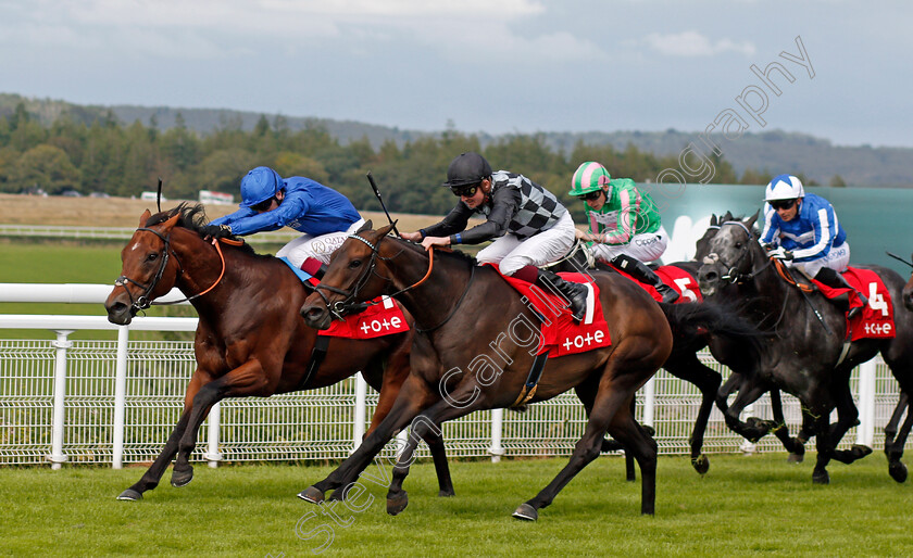 Lavender s-Blue-0003 
 LAVENDER'S BLUE (Rob Hornby) beats BENBATL (left) in The Tote Celebration Mile
Goodwood 28 Aug 2021 - Pic Steven Cargill / Racingfotos.com