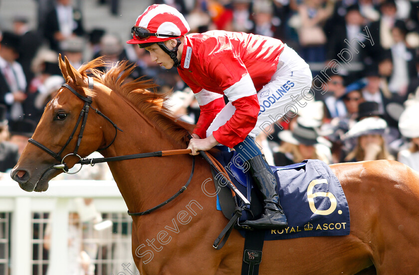 Daahyeh-0001 
 DAAHYEH (David Egan) winner of The Albany Stakes
Royal Ascot 21 Jun 2019 - Pic Steven Cargill / Racingfotos.com