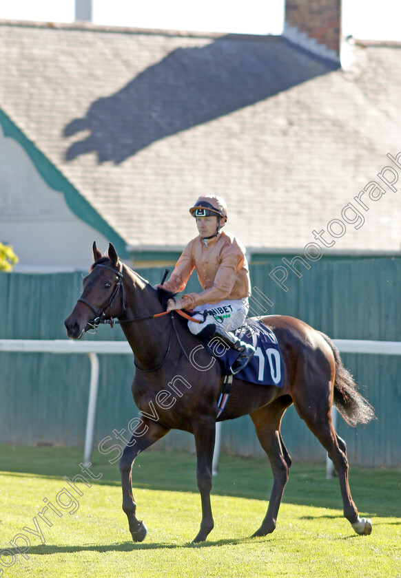 Sherbet-Fountain-0001 
 SHERBET FOUNTAIN (Jamie Spencer)
Yarmouth 18 Oct 2022 - Pic Steven Cargill / Racingfotos.com