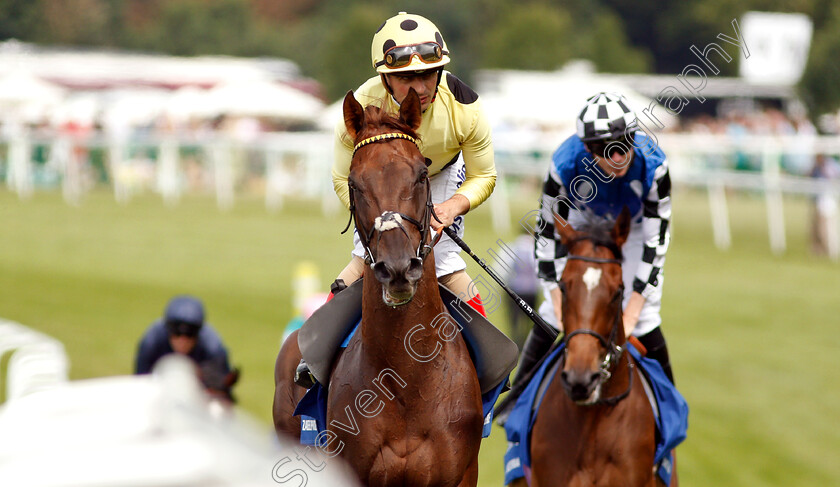 Zabeel-Prince-0002 
 ZABEEL PRINCE (Andrea Atzeni)
Sandown 6 Jul 2019 - Pic Steven Cargill / Racingfotos.com