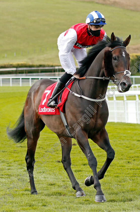 Positive-0001 
 POSITIVE (Hector Crouch)
Goodwood 29 Aug 2020 - Pic Steven Cargill / Racingfotos.com