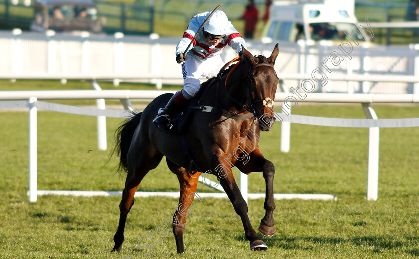 Lalor-0003 
 LALOR (Richard Johnson) wins The Racing Post Arkle Trophy Trial Novices Chase
Cheltenham 18 Nov 2018 - Pic Steven Cargill / Racingfotos.com