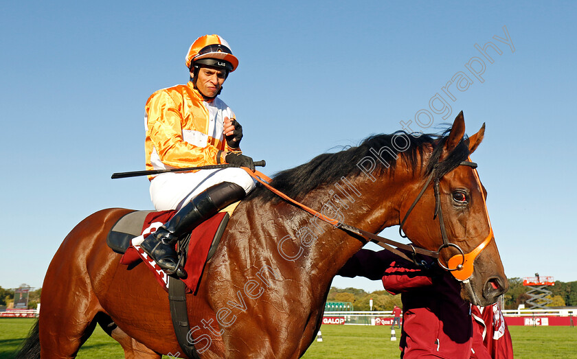 Jayarebe-0003 
 JAYAREBE (Sean Levey) winner of The Qatar Prix Dollar
Longchamp 5 Oct 2024 - Pic Steven Cargill / Racingfotos.com