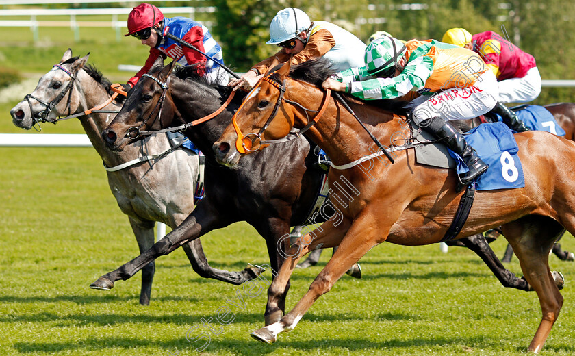 Classy-Dame-0003 
 CLASSY DAME (right, Tom Marquand) beats MENAI BRIDGE (centre) and SONNING (left) in The Book Tickets Now @leicester-racecourse.com Handicap
Leicester 1 Jun 2021 - Pic Steven Cargill / Racingfotos.com