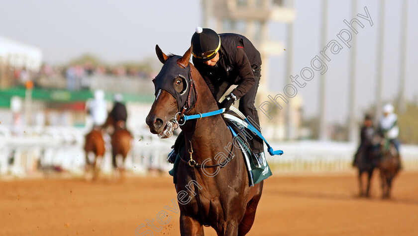 Midnight-Bourbon-0006 
 MIDNIGHT BOURBON training for the Saudi Cup
King Abdulaziz Racetrack, Riyadh, Saudi Arabia 24 Feb 2022 - Pic Steven Cargill / Racingfotos.com