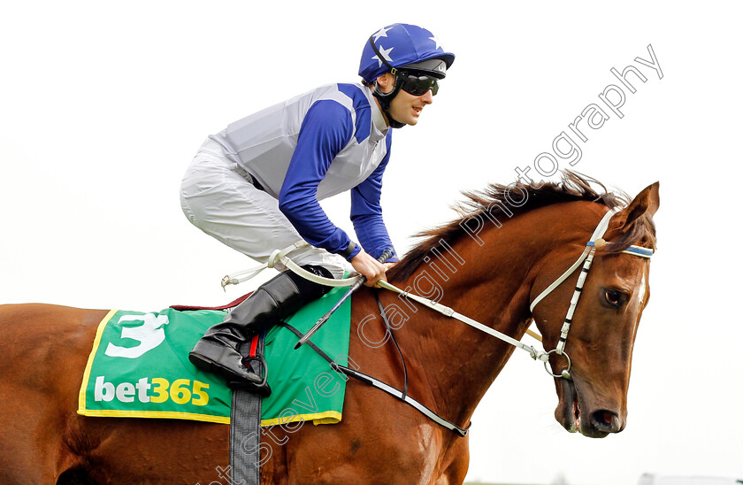 Catch-Twentytwo 
 CATCH TWENTYTWO (Robert Tart)
Newmarket 12 Apr 2022 - Pic Steven Cargill / Racingfotos.com