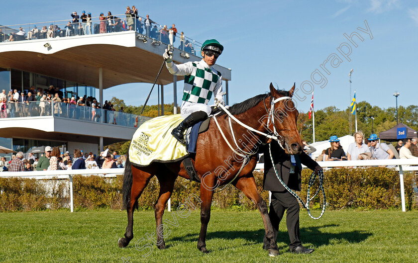 Aphelios-0004 
 APHELIOS (Elione Chaves) winner of The Bro Park Sprint Championship
Bro Park, Sweden , 15 Sep 2024 - Pic Steven Cargill / Racingfotos.com