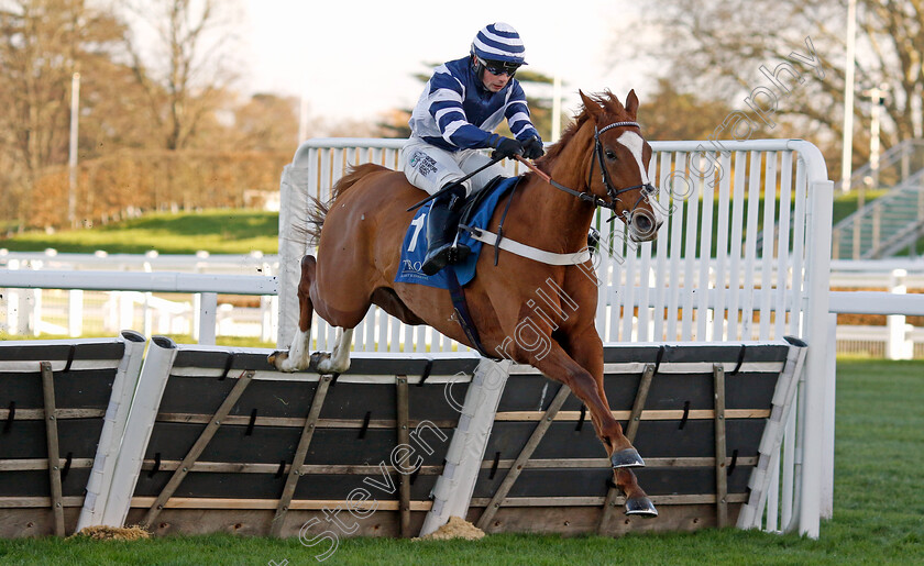 Celtic-Dino-0001 
 CELTIC DINO (Dylan Johnston) wins The Troy Asset Management Introductory Hurdle
Ascot 22 Nov 2024 - Pic Steven Cargill / Racingfotos.com