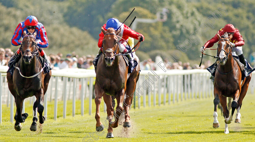 Threat-0002 
 THREAT (centre, Oisin Murphy) beats LORD OF THE LODGE (left) in The Al Basti Equiworld Dubai Gimcrack Stakes 
York 23 Aug 2019 - Pic Steven Cargill / Racingfotos.com