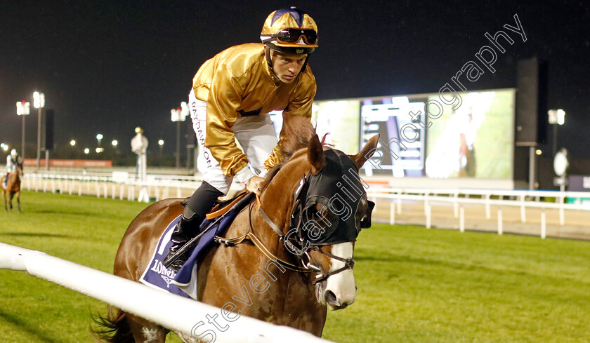 Hunting-Lady-0001 
 HUNTING LADY (Ray Dawson)
Meydan 27 Jan 2023 - Pic Steven Cargill / Racingfotos.com