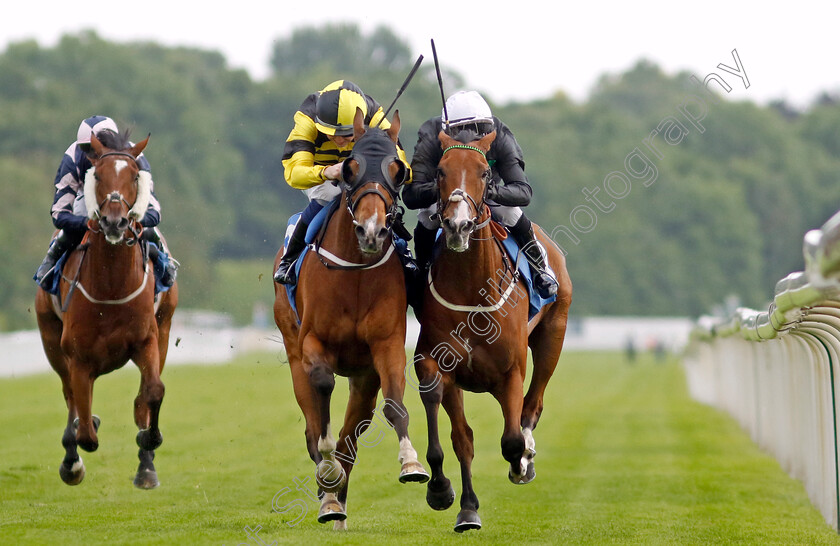 Haliphon-0003 
 HALIPHON (right, Royston Ffrench) beats MONSIEUR LAMBRAYS (left, Oisin Orr) in The Andy Thornton Hospitality Furniture Handicap
York 10 Jun 2022 - Pic Steven Cargill / Racingfotos.com