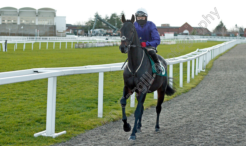 Let-It-Loose-0001 
 LET IT LOOSE (Tom Bellamy)
Cheltenham 15 Nov 2020 - Pic Steven Cargill / Racingfotos.com