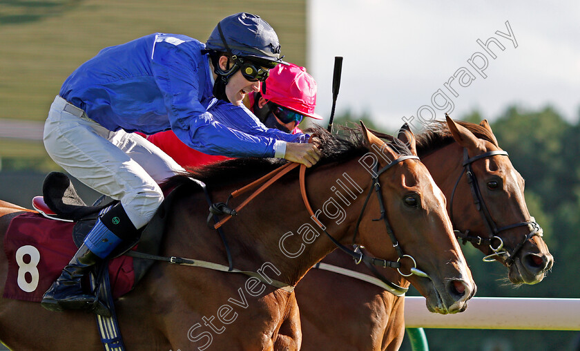 Lady-Scatterley-0005 
 LADY SCATTERLEY (farside, William Easterby) beats DAS KAPITAL (nearside, Ross Birkett) in The Best Odds On The Betfair Exchange Handicap
Haydock 3 Sep 2020 - Pic Steven Cargill / Racingfotos.com