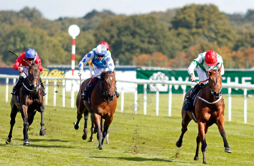 Ellthea-0002 
 ELLTHEA (Clifford Lee) wins The EBF British Stallion Studs Carrie Red Fillies Nursery Doncaster 14 Sep 2017 - Pic Steven Cargill / Racingfotos.com