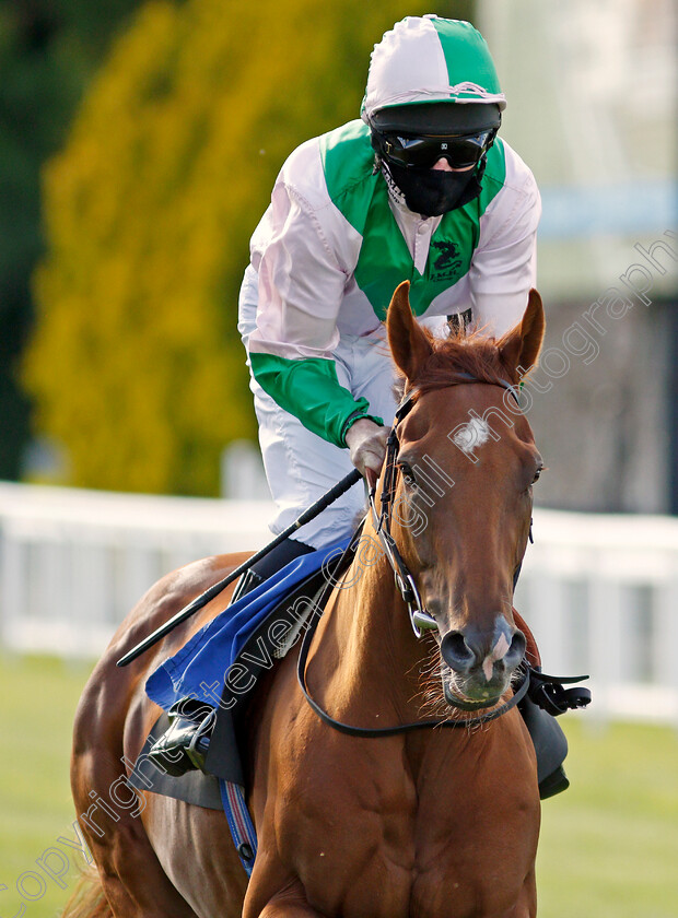 Ethics-Approval-0001 
 ETHICS APPROVAL (Liam Keniry)
Salisbury 11 Jul 2020 - Pic Steven Cargill / Racingfotos.com