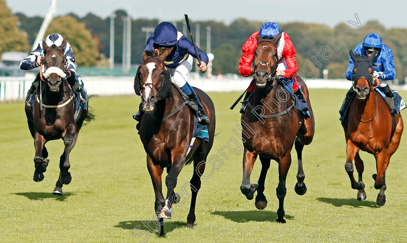 Maybe-Today-0003 
 MAYBE TODAY (2nd left, William Buick) beats LITIGIOUS (2nd right) in The British EBF Premier Fillies Handicap
Doncaster 11 Sep 2019 - Pic Steven Cargill / Racingfotos.com