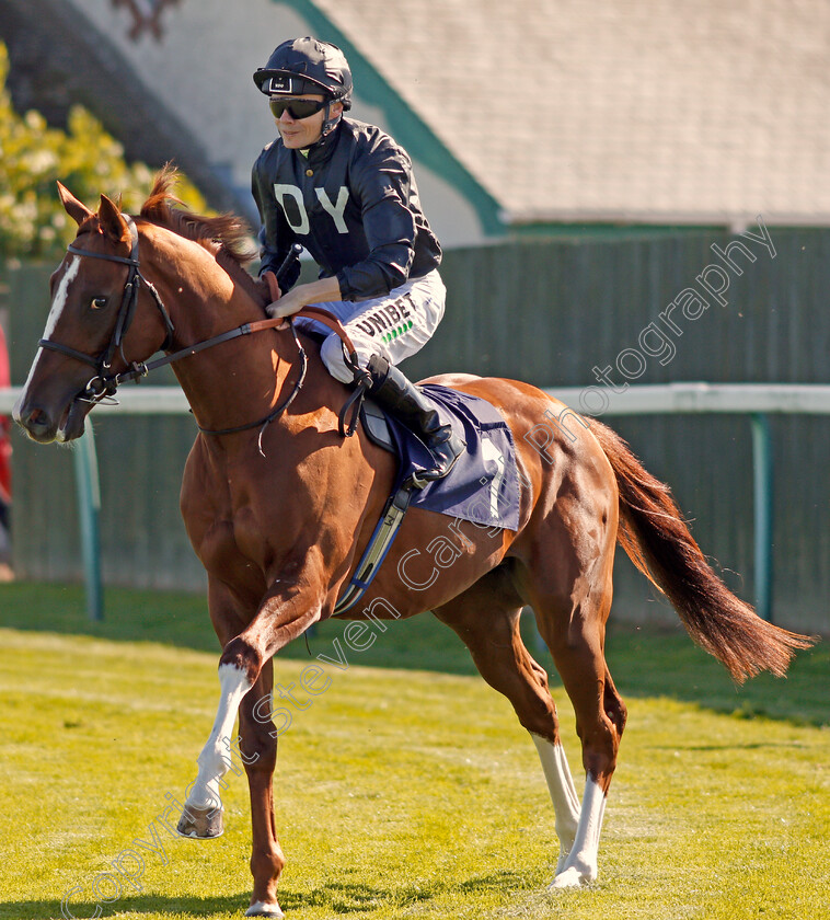 Carlos-Felix-0001 
 CARLOS FELIX (Jamie Spencer)
Yarmouth 19 Sep 2019 - Pic Steven Cargill / Racingfotos.com