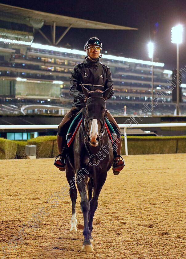 Equinox-0001 
 EQUINOX training for the Sheema Classic
Meydan, Dubai, 23 Mar 2023 - Pic Steven Cargill / Racingfotos.com