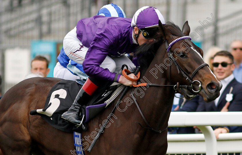 Enchanting-Empress-0001 
 ENCHANTING EMPRESS (David Egan) wins The Royal Ascot Two-Year-Old Trial EBF Conditions Stakes
Ascot 1 May 2024 - Pic Steven Cargill / Racingfotos.com