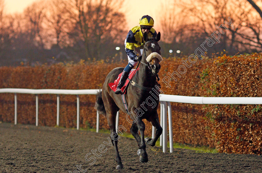 Ayr-Harbour-0001 
 AYR HARBOUR (Alistair Rawlinson)
Kempton 4 Dec 2019 - Pic Steven Cargill / Racingfotos.com