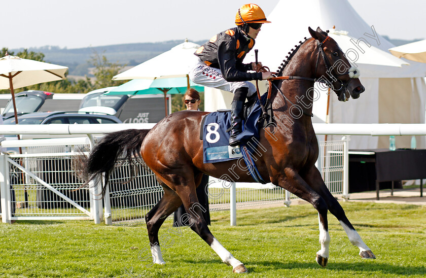 Popov-0001 
 POPOV (Sean Dylan Bowen)
Goodwood 30 Jul 2024 - Pic Steven Cargill / Racingfotos.com