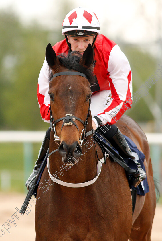 Alexander-James-0008 
 ALEXANDER JAMES (Jamie Gormley) after The Southwell Racecourse Joules Clothing Sale 24th July Novice Stakes
Southwell 29 Apr 2019 - Pic Steven Cargill / Racingfotos.com