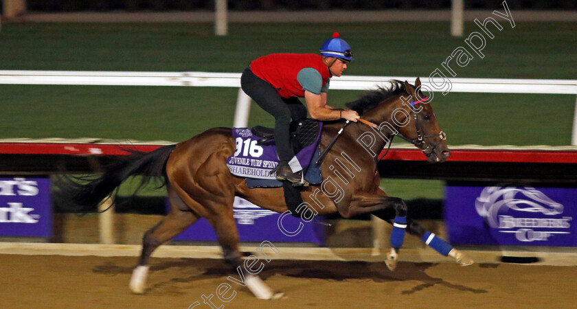 Shareholder-0001 
 SHAREHOLDER training for the Breeders' Cup Juvenile Turf Sprint
Del Mar USA 30 Oct 2024 - Pic Steven Cargill / Racingfotos.com