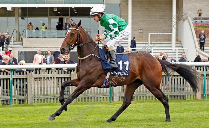 Victory-Shout-0001 
 VICTORY SHOUT (Shane Foley)
Newmarket 28 Sep 2023 - Pic Steven Cargill / Racingfotos.com