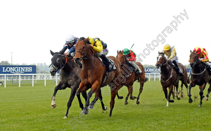 Isle-Of-Lismore-0002 
 ISLE OF LISMORE (Kieran Shoemark) beats FAIR WIND (left) in The Naas Racecourse Handicap Div2
Ascot 1 May 2024 - Pic Steven Cargill / Racingfotos.com