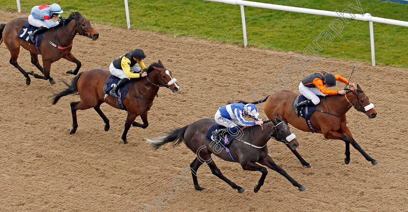 Notre-Belle-Bete-0005 
 NOTRE BELLE BETE (nearside, David Probert) beats BALDOMERO (farside) in The Mansionbet Lincoln Trial Handicap
Wolverhampton 12 Mar 2022 - Pic Steven Cargill / Racingfotos.com