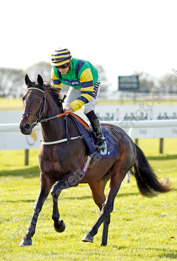 Midnights-Legacy-0001 
 MIDNIGHTS LEGACY (Tom Marquand) winner of The Download The Star Sports App Now EBF Novice Stakes
Bath 16 Oct 2019 - Pic Steven Cargill / Racingfotos.com