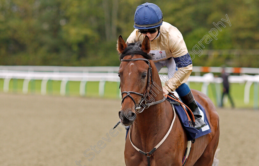 Dramatic-Sands-0001 
 DRAMATIC SANDS (Hollie Doyle)
Lingfield 3 Oct 2019 - Pic Steven Cargill / Racingfotos.com