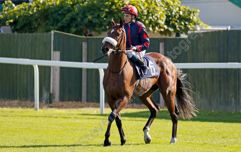 Dejame-Paso-0001 
 DEJAME PASO (William Buick)
Yarmouth 15 Sep 2021 - Pic Steven Cargill / Racingfotos.com