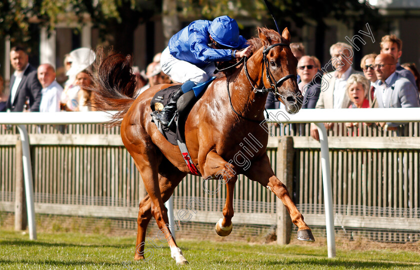 Quintillus-0004 
 QUINTILLUS (William Buick) wins The Watch Every Race Live On Racingtv Handicap
Newmarket 7 Aug 2021 - Pic Steven Cargill / Racingfotos.com