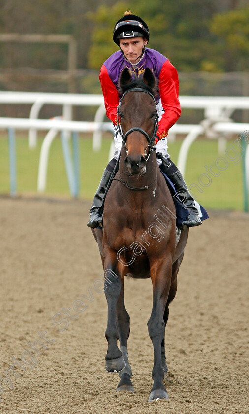 Round-The-Buoy-0001 
 ROUND THE BUOY (Daniel Tudhope) Lingfield 6 Jan 2018 - Pic Steven Cargill / Racingfotos.com