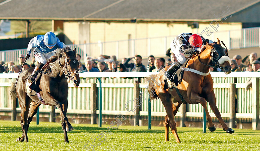 Torcello-0003 
 TORCELLO (Rossa Ryan) beats HAARAR (left) in The racingtv.com/freetrial Handicap
Newmarket 28 Oct 2022 - Pic Steven Cargill / Racingfotos.com