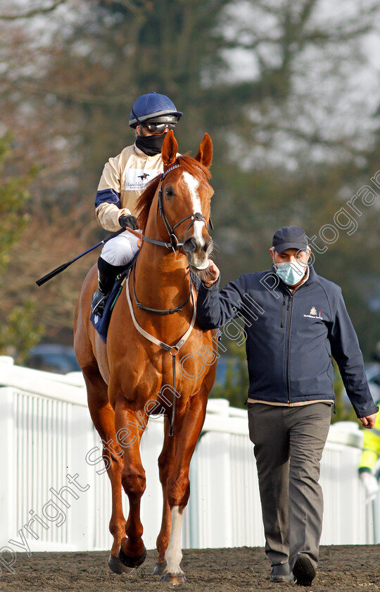 Going-Places-0001 
 GOING PLACES (Hollie Doyle) winner of The Bombardier March To Your Own Drum Novice Stakes
Lingfield 9 Jan 2021 - Pic Steven Cargill / Racingfotos.com