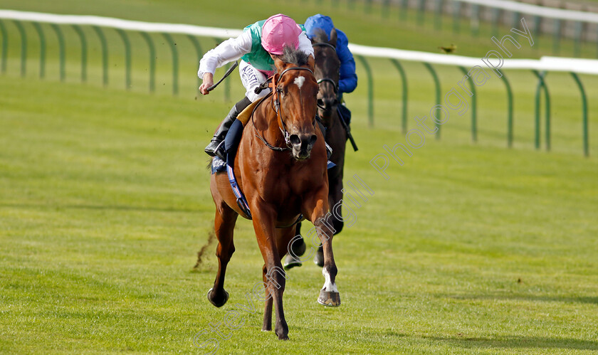 Nostrum-0004 
 NOSTRUM (Ryan Moore) wins The Tattersalls Stakes
Newmarket 22 Sep 2022 - Pic Steven Cargill / Racingfotos.com