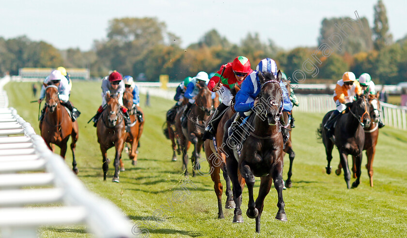 Emaraaty-0006 
 EMARAATY (Jim Crowley) wins The Wedgewood Estates EBF Novice Stakes Div2 Newbury 23 Sep 2017 - Pic Steven Cargill / Racingfotos.com