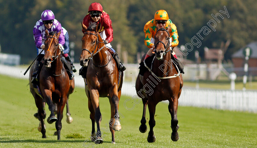 War-Horse-0006 
 WAR HORSE (centre, Marco Ghiani) beats SUPER STARS (right) and HAPAP (left) in The Ryan Canter Club Future Stayers EBF Maiden Stakes
Goodwood 22 Sep 2021 - Pic Steven Cargill / Racingfotos.com