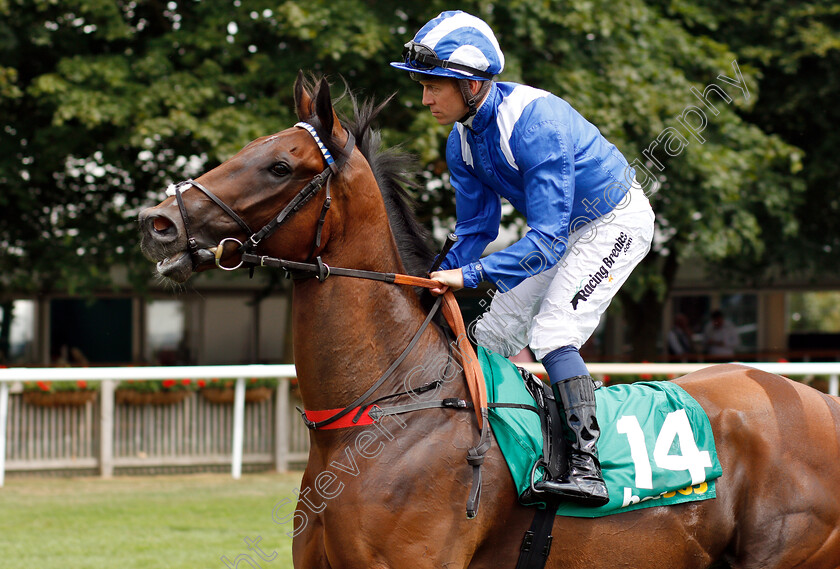 Mukalal-0001 
 MUKALAL (Jim Crowley)
Newmarket 14 Jul 2018 - Pic Steven Cargill / Racingfotos.com