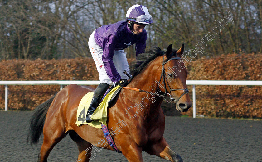 Clase-Azul-Ultra-0002 
 CLASE AZUL ULTRA (Rossa Ryan) winner of The Unibet Horserace Betting Operator of The Year Maiden Stakes
Kempton 16 Feb 2022 - Pic Steven Cargill / Racingfotos.com