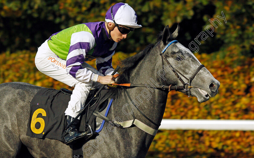 Silverscape-0001 
 SILVERSCAPE (Jason Watson) before The Unibet Extra Place Offers Every Day Restricted Novice Stakes Div1
Kempton 10 Nov 2021 - Pic Steven Cargill / Racingfotos.com