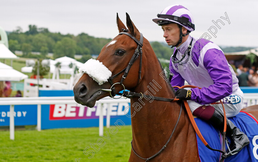 Secret-Satire-0001 
 SECRET SATIRE (Oisin Murphy)
Epsom 31 May 2024 - Pic Steven Cargill / Racingfotos.com