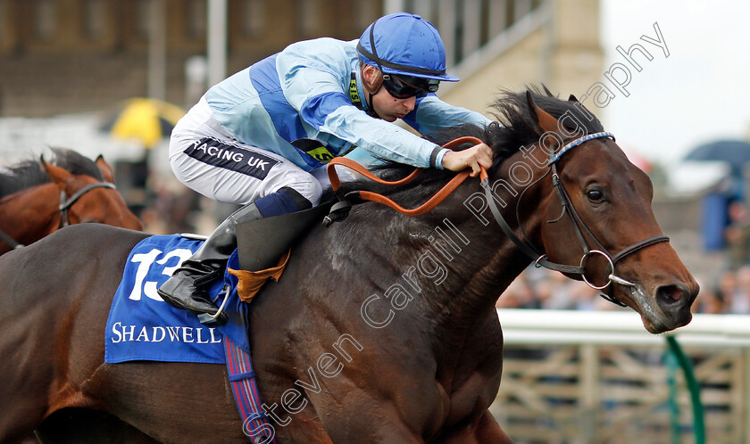 Thrave-0004 
 THRAVE (Harry Bentley) wins The Derrinstown British EBF Maiden Stakes Newmarket 29 Sep 2017 - Pic Steven Cargill / Racingfotos.com