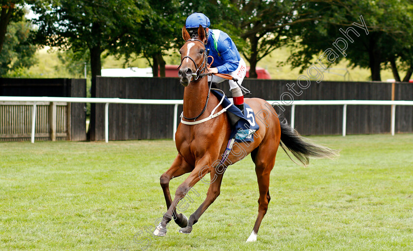 Eternal-Glory-0001 
 ETERNAL GLORY (Franny Norton)
Newmarket 31 Jul 2021 - Pic Steven Cargill / Racingfotos.com