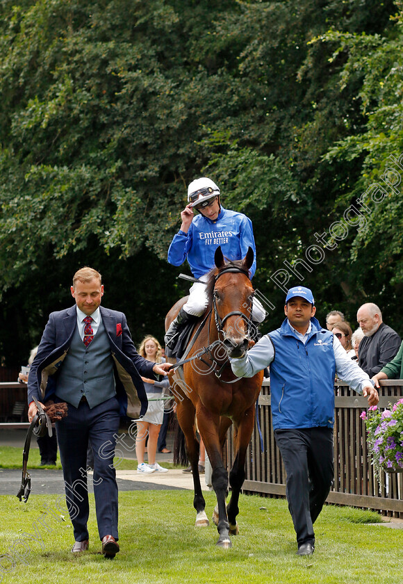 Kemari-0007 
 KEMARI (James Doyle) winner of The Cavani Menswear Sartorial Sprint Fred Archer Stakes
Newmarket 1 Jul 2023 - Pic Steven Cargill / Racingfotos.com