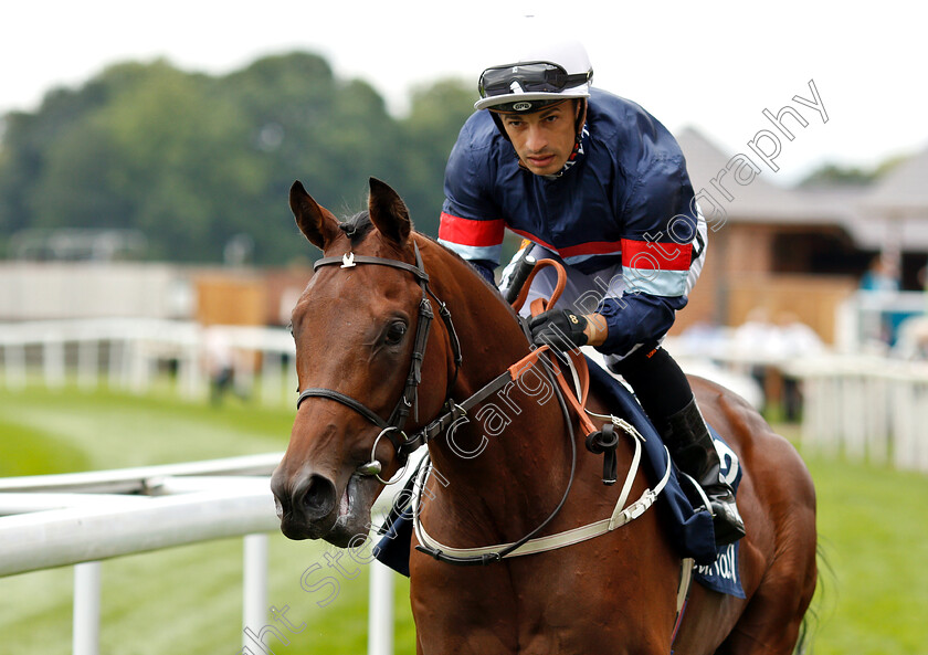 Persian-Moon-0001 
 PERSIAN MOON (Silvestre De Sousa)
York 22 Aug 2018 - Pic Steven Cargill / Racingfotos.com