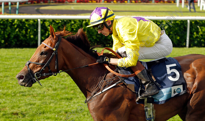 Sea-La-Rosa-0003 
 SEA LA ROSA (Adam Farragher) wins The British EBF Premier Fillies Handicap
Doncaster 10 Sep 2021 - Pic Steven Cargill / Racingfotos.com